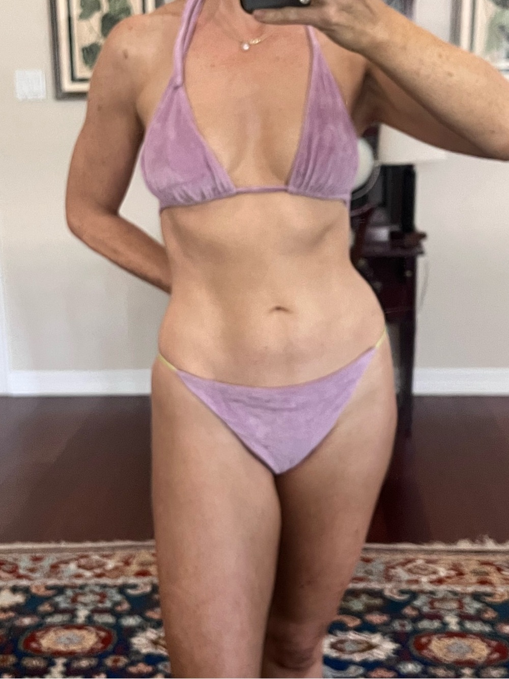 Priscavera Lilac Velvet Triangle Bikini Set